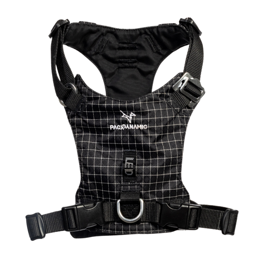 Halo Harness