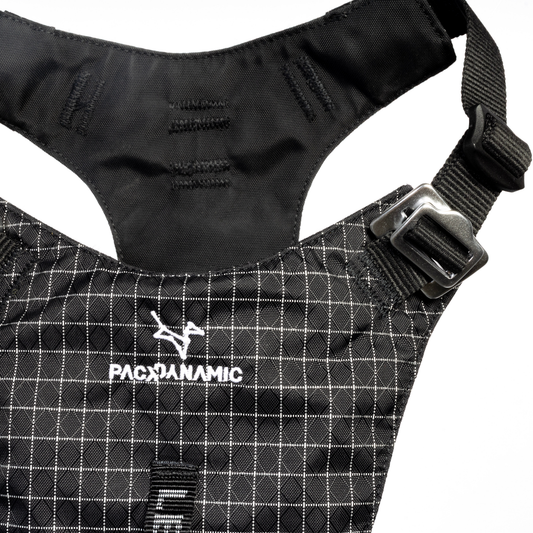 Halo Harness